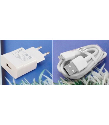 Ładowarka Fast 2A HW-059200EHQ + Kabel MicroUsb 1m