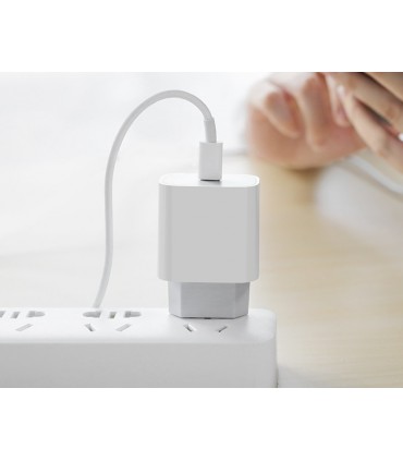 Szybka Ładowarka sieciowa DENMEN FAST 20W 3,6A Typ C