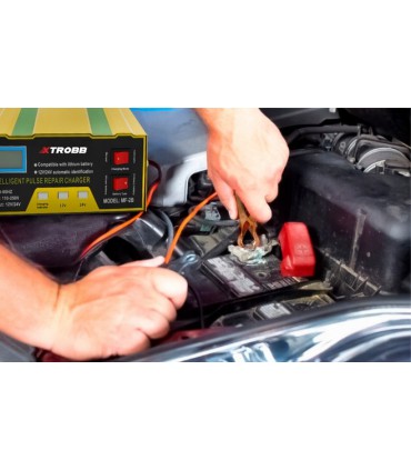 Prostownik do akumulatora 10A samochodowy 12V 24V